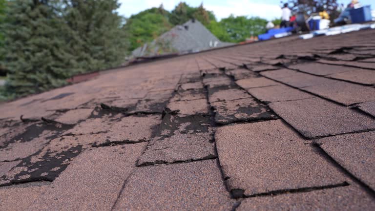 Waterproofing in Nebo, NC