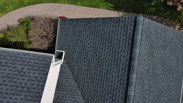 Best Roof Moss and Algae Removal  in Nebo, NC